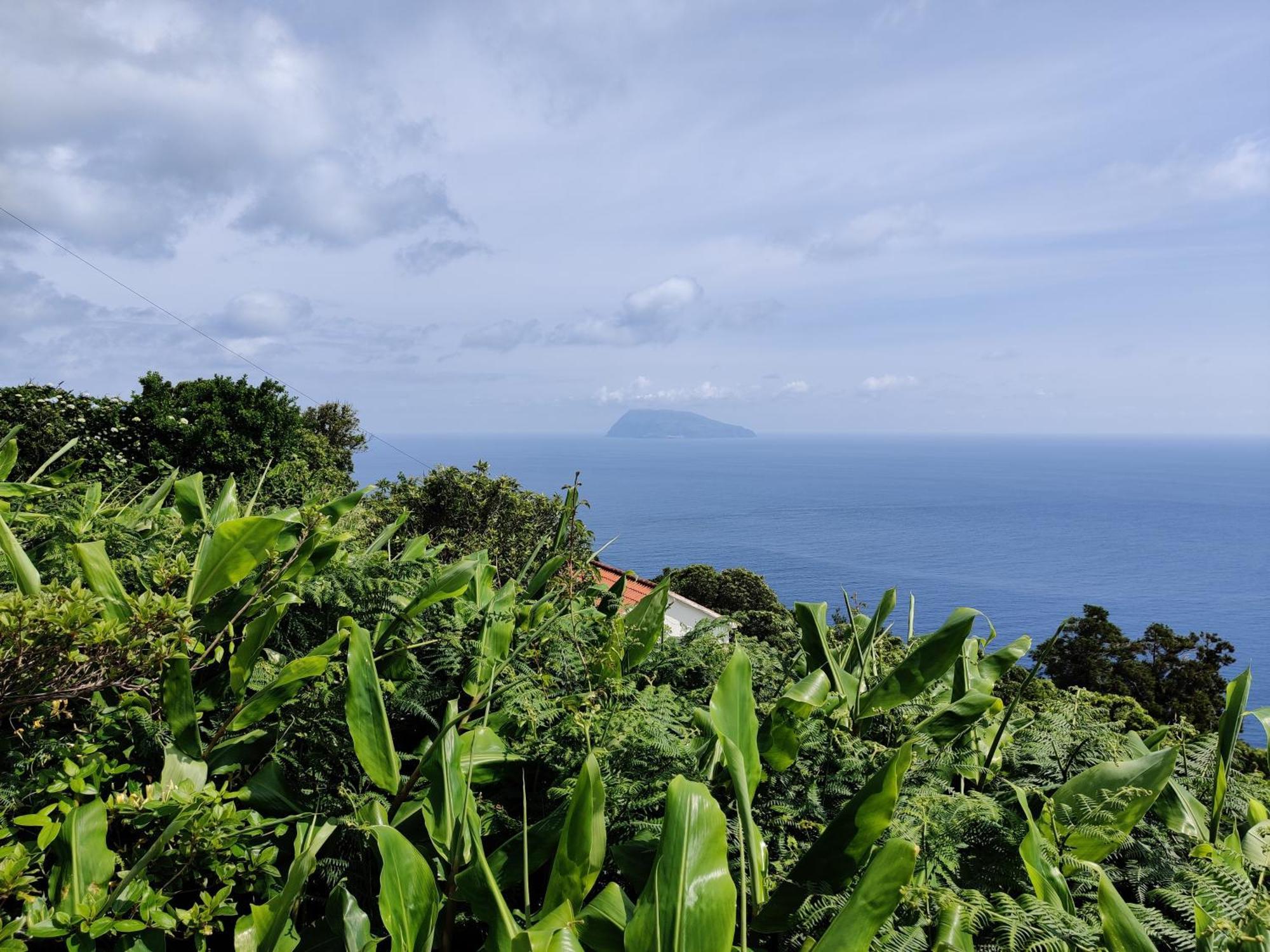 サンタ・クルス・ダス・フローレス Ocean View Cedrosヴィラ エクステリア 写真